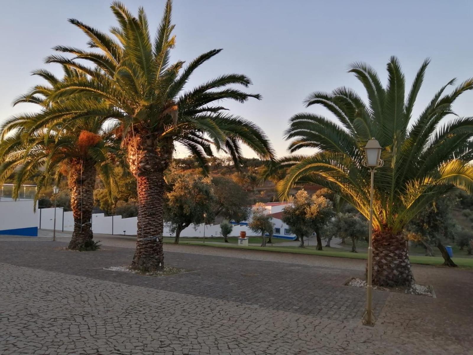 Monte Da Pechincha Bed & Breakfast Estremoz Exterior foto