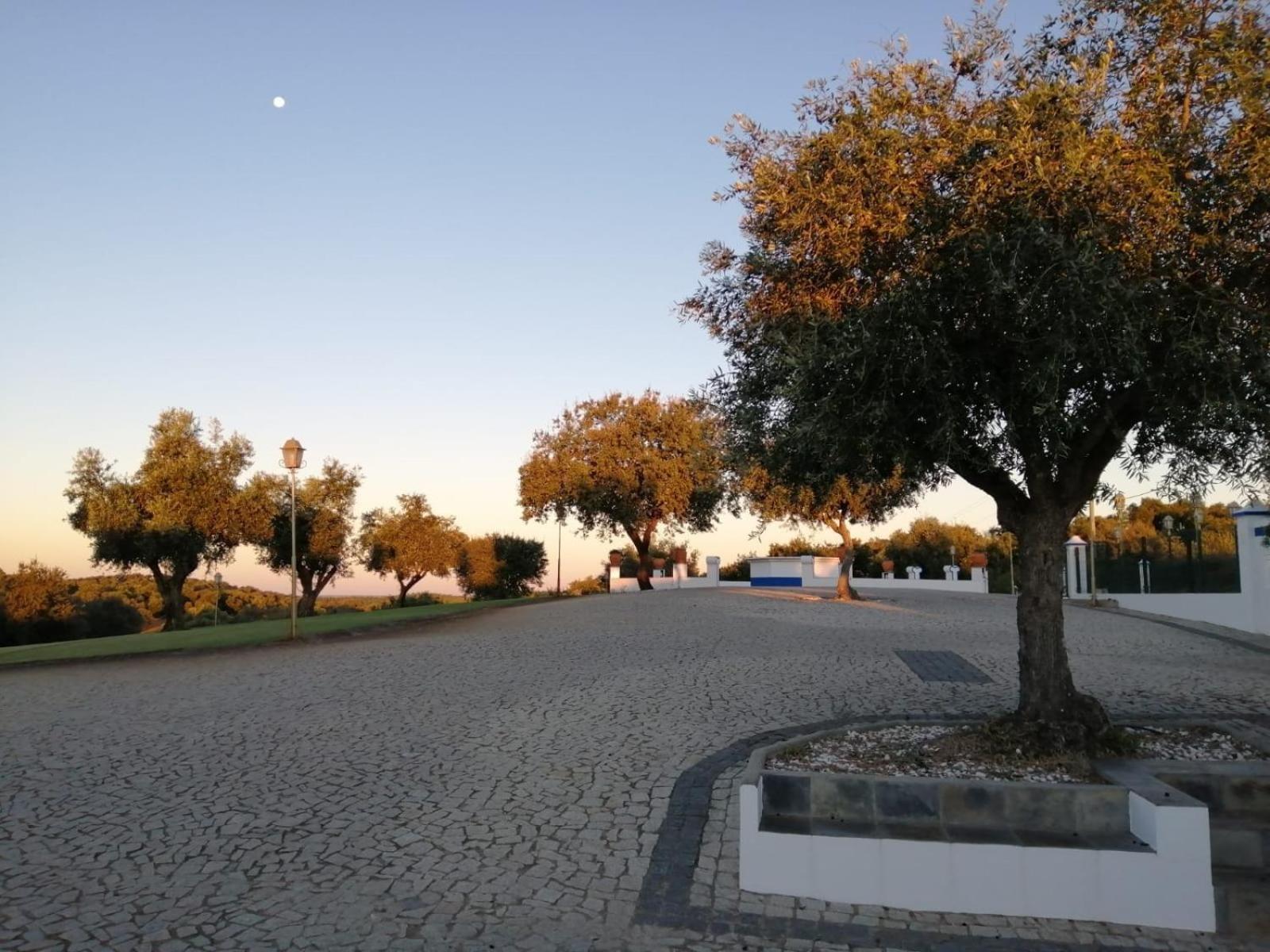 Monte Da Pechincha Bed & Breakfast Estremoz Exterior foto
